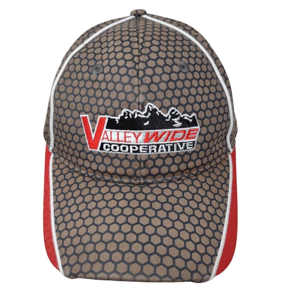 Valley Wide Cooperative Fitted Hat Multi One Size Geo Embroidered Vie